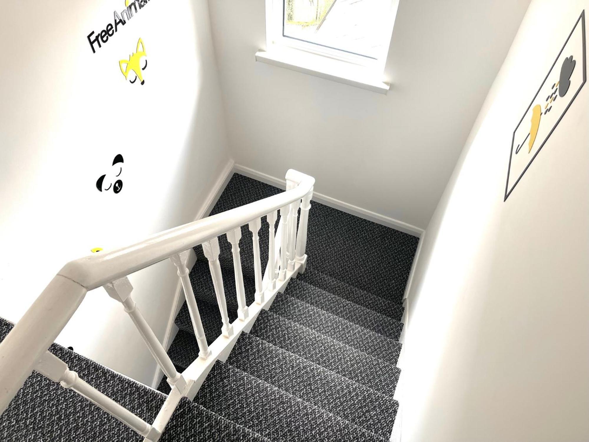 Entire Yellowapt Near Belfast City Centre - Free Parking - Up To 3 Guests - 2 Beds Zewnętrze zdjęcie